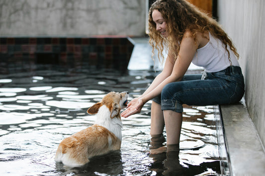 “What happens if I seldom bathe my dog? ”