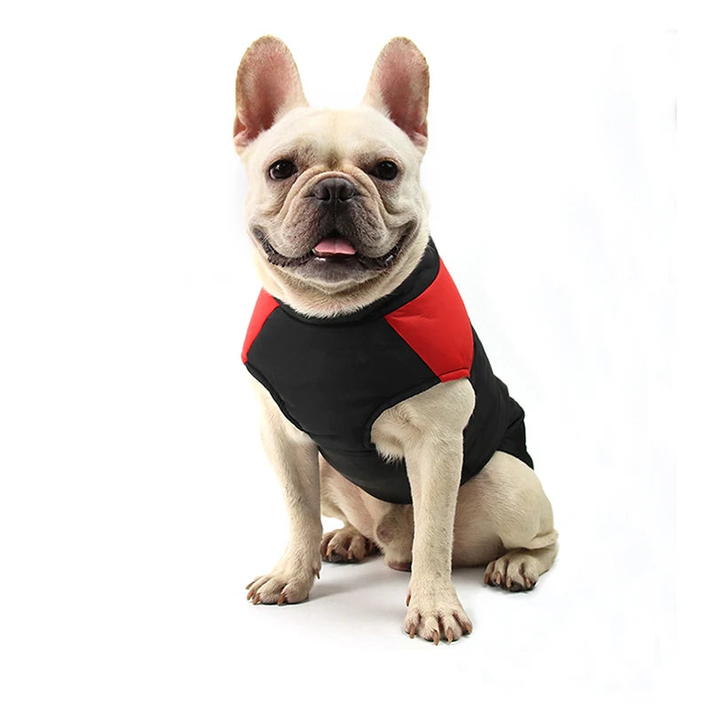 Warm Waterproof Dog Jacket