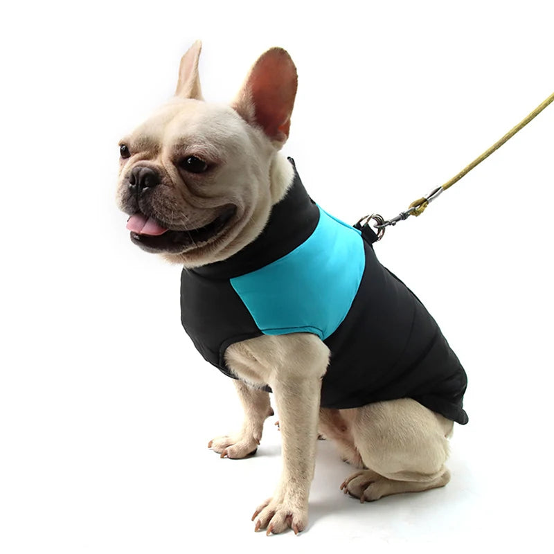 Warm Waterproof Dog Jacket