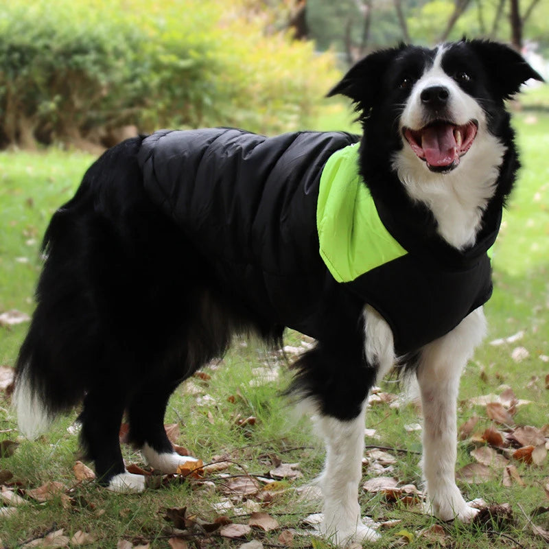 Warm Waterproof Dog Jacket