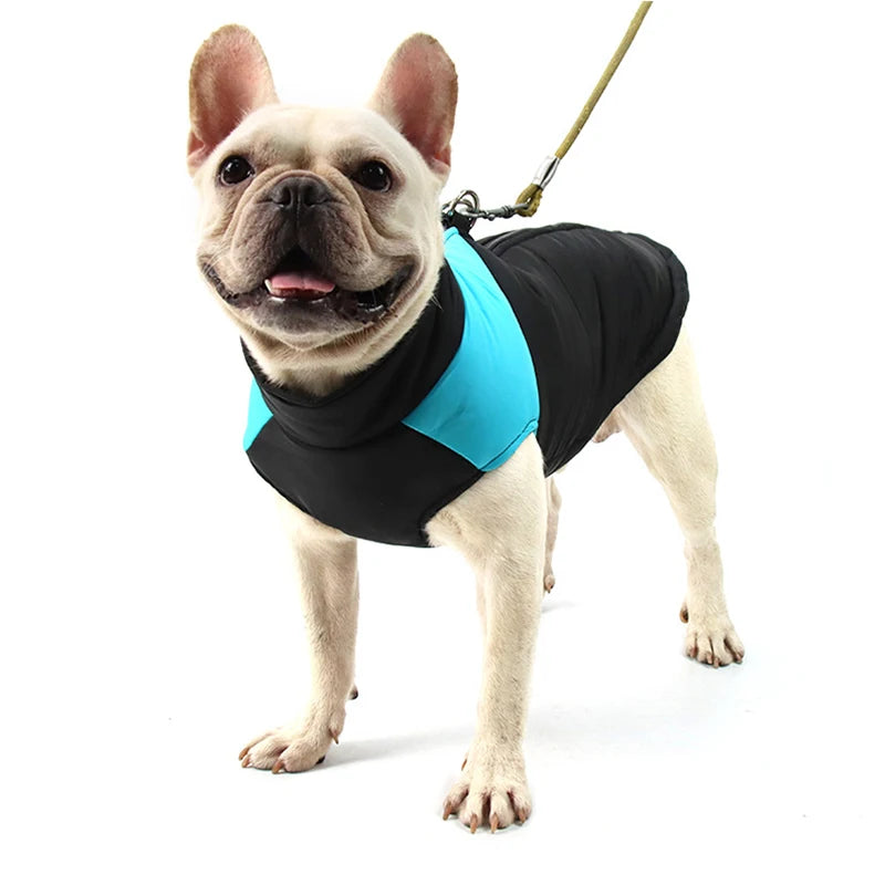 Warm Waterproof Dog Jacket