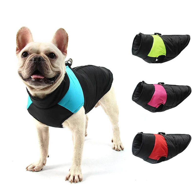 Warm Waterproof Dog Jacket