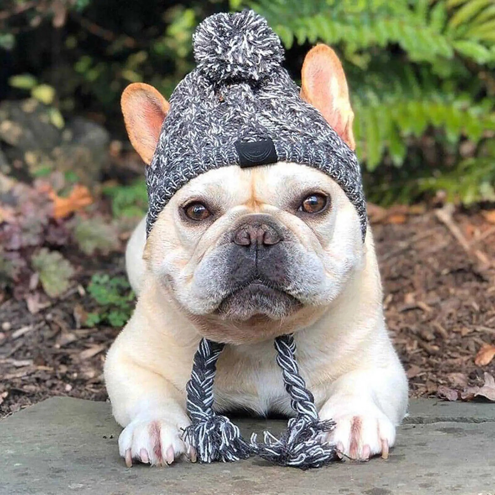 Windproof Warm Dog Hats