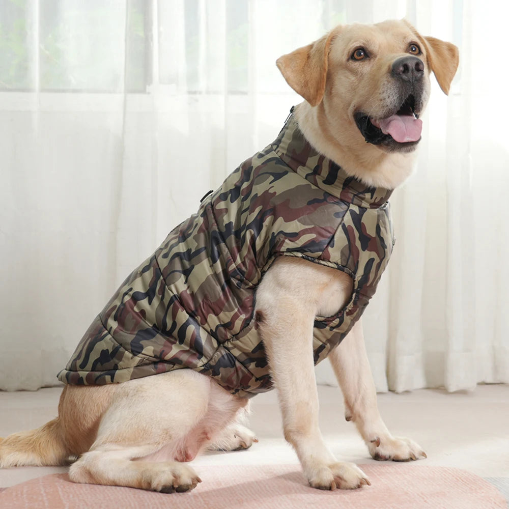 Fashionable Waterproof Winter Dog Jacket