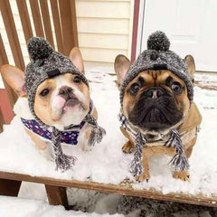 Windproof Warm Dog Hats