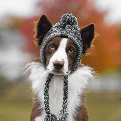 Windproof Warm Dog Hats