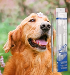 Dog Tooth Tartar Removers