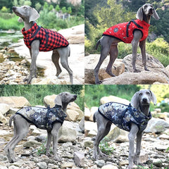 Waterproof Winter Dog Jacket with Harness