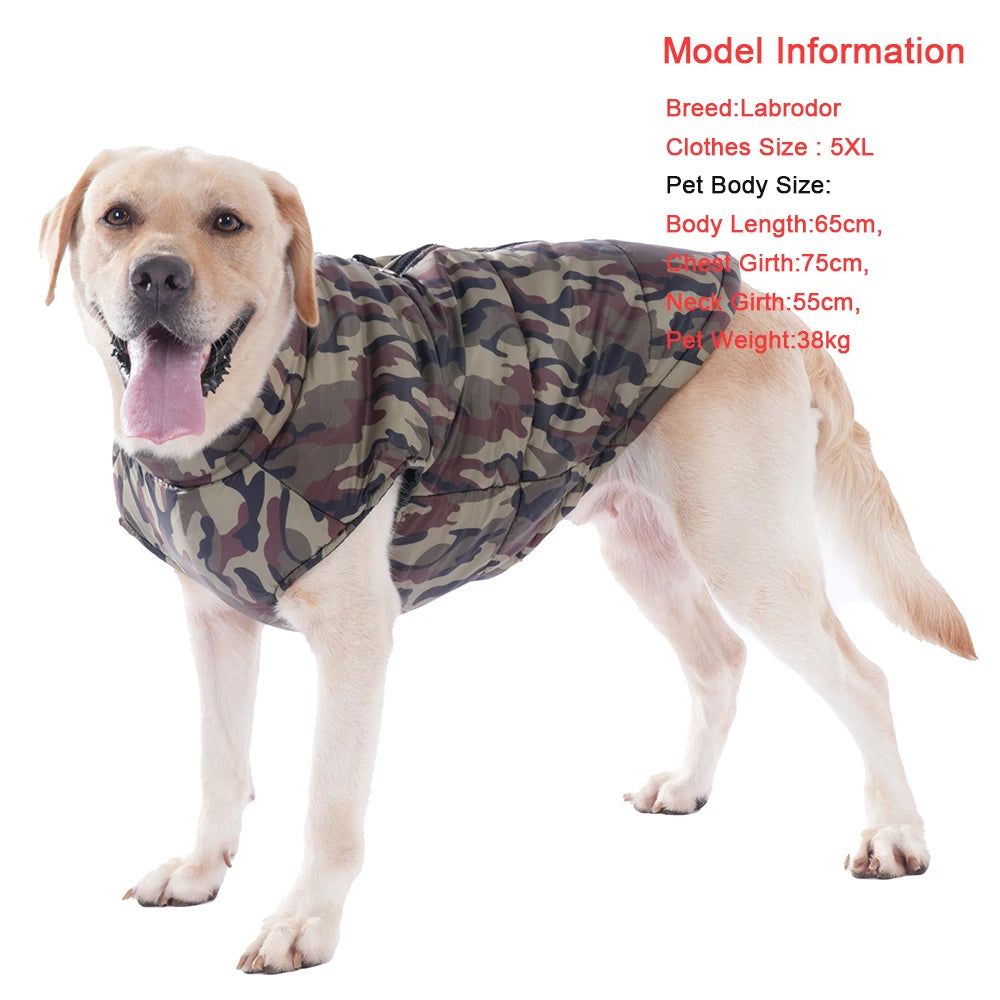 Fashionable Waterproof Winter Dog Jacket