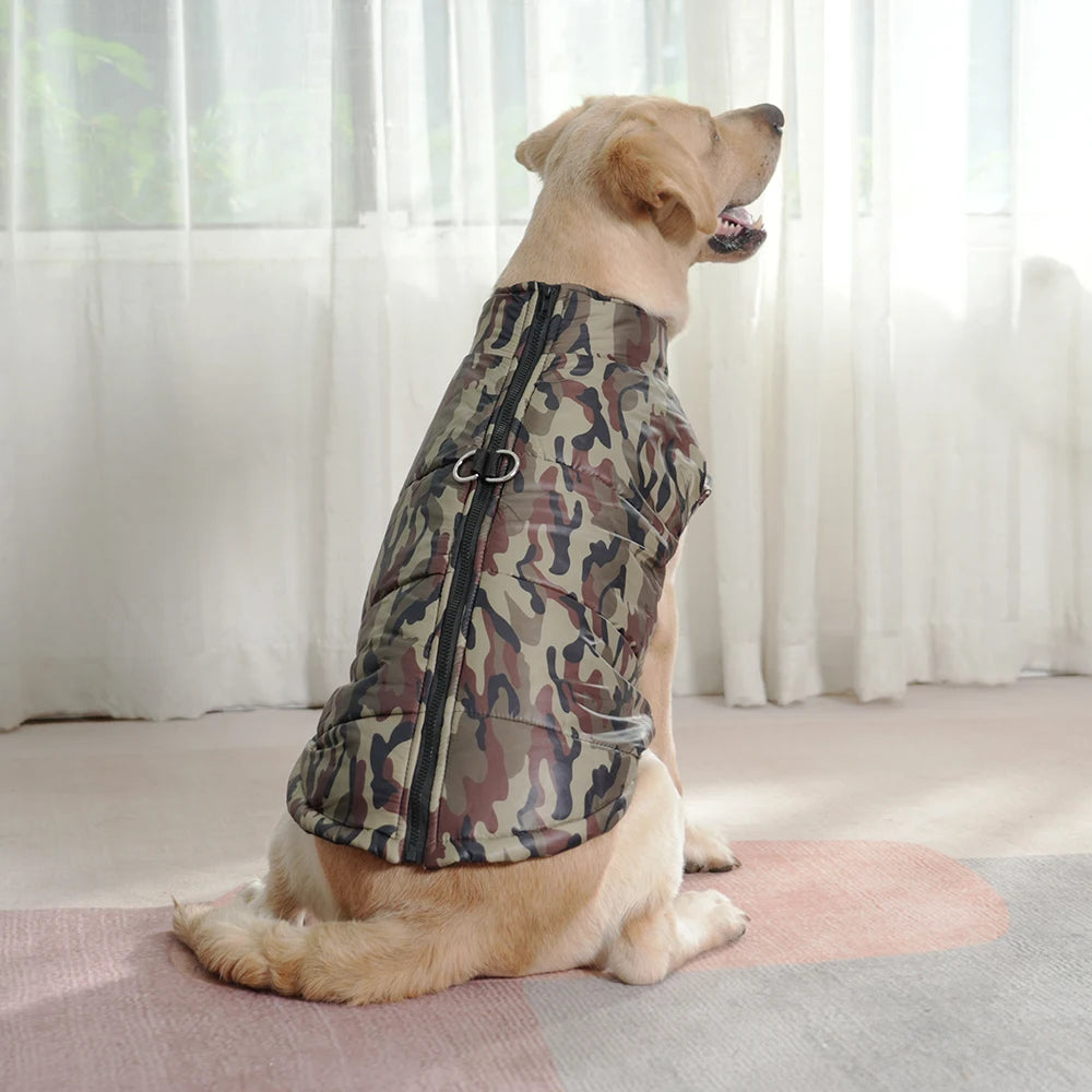 Fashionable Waterproof Winter Dog Jacket