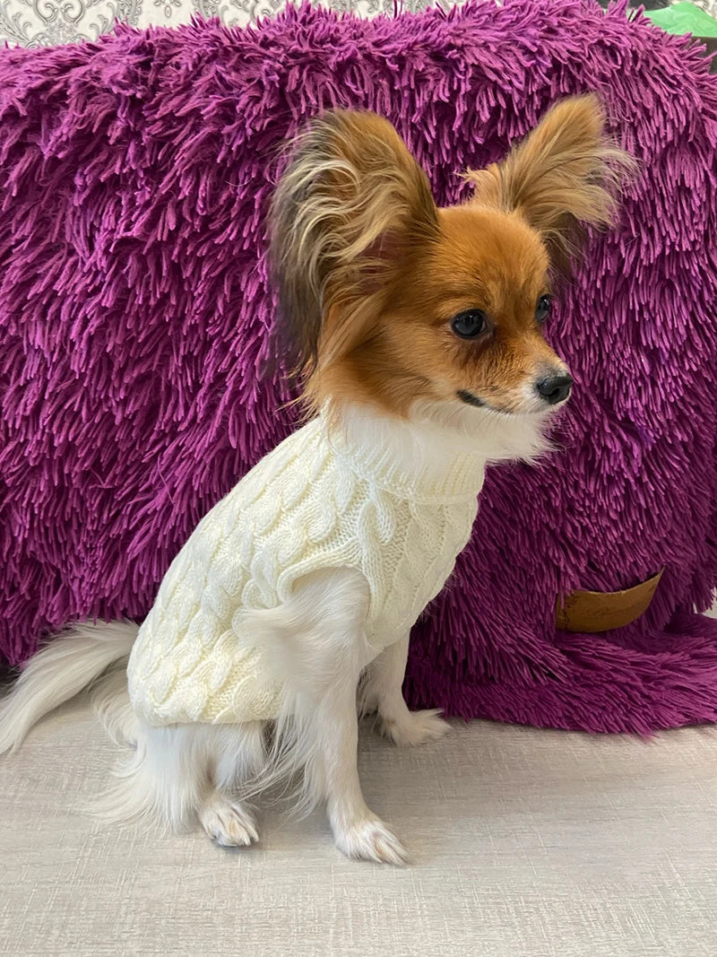 Turtleneck Knitted Winter Dog Sweater