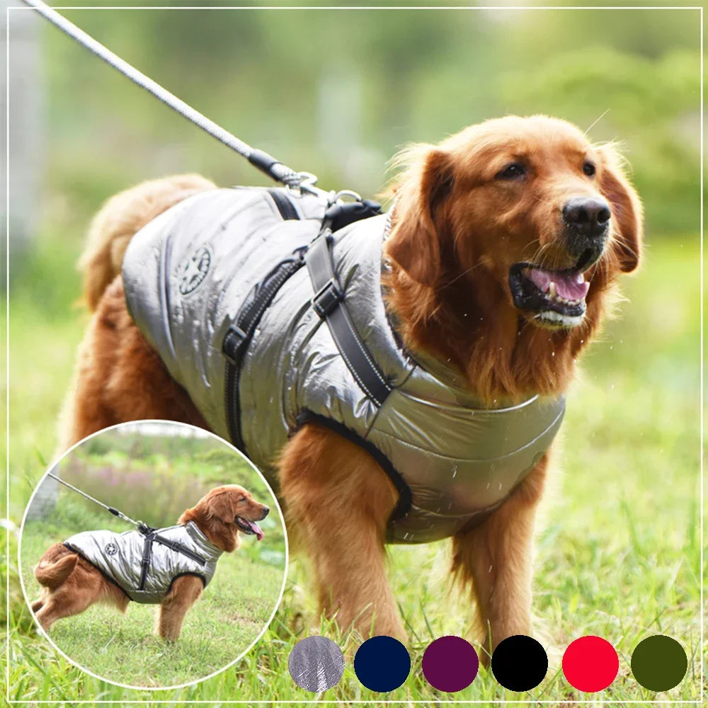 Waterproof Winter Dog Jacket with Harness