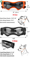 Dog Helmet and Goggles