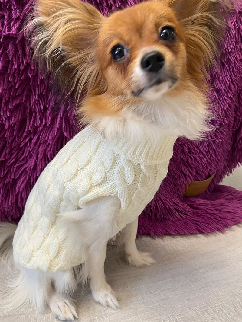 Turtleneck Knitted Winter Dog Sweater