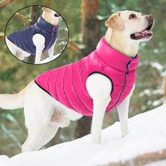 Soft Winter Dog Jacket