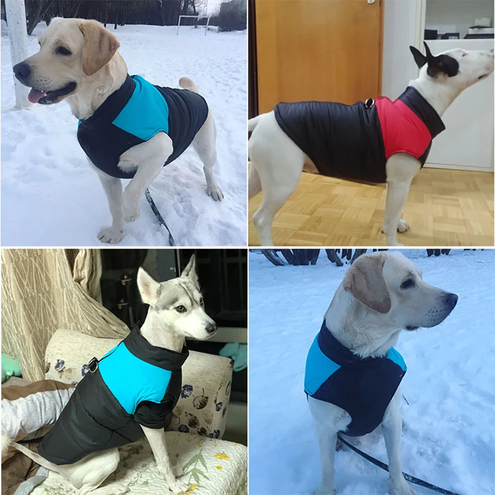 Warm Waterproof Dog Jacket